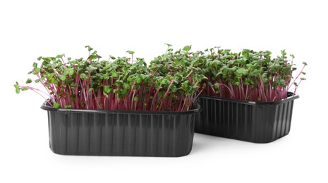 Photo of Fresh radish microgreens in plastic containers on white background