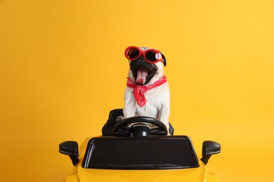 Photo of Funny pug dog with sunglasses in toy car on yellow background