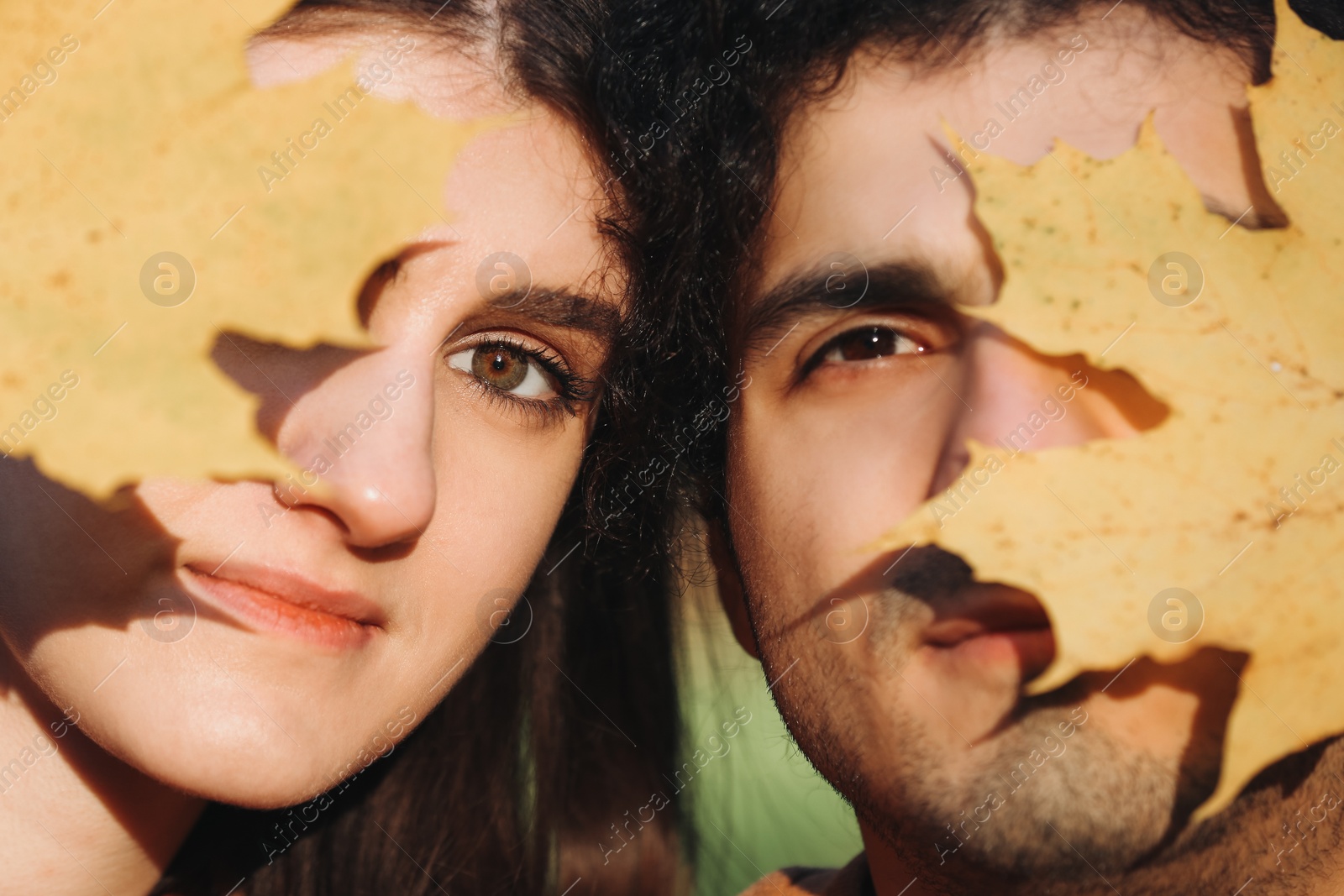 Photo of Young couple holding dry leaves near their faces outdoors, closeup. Dating agency