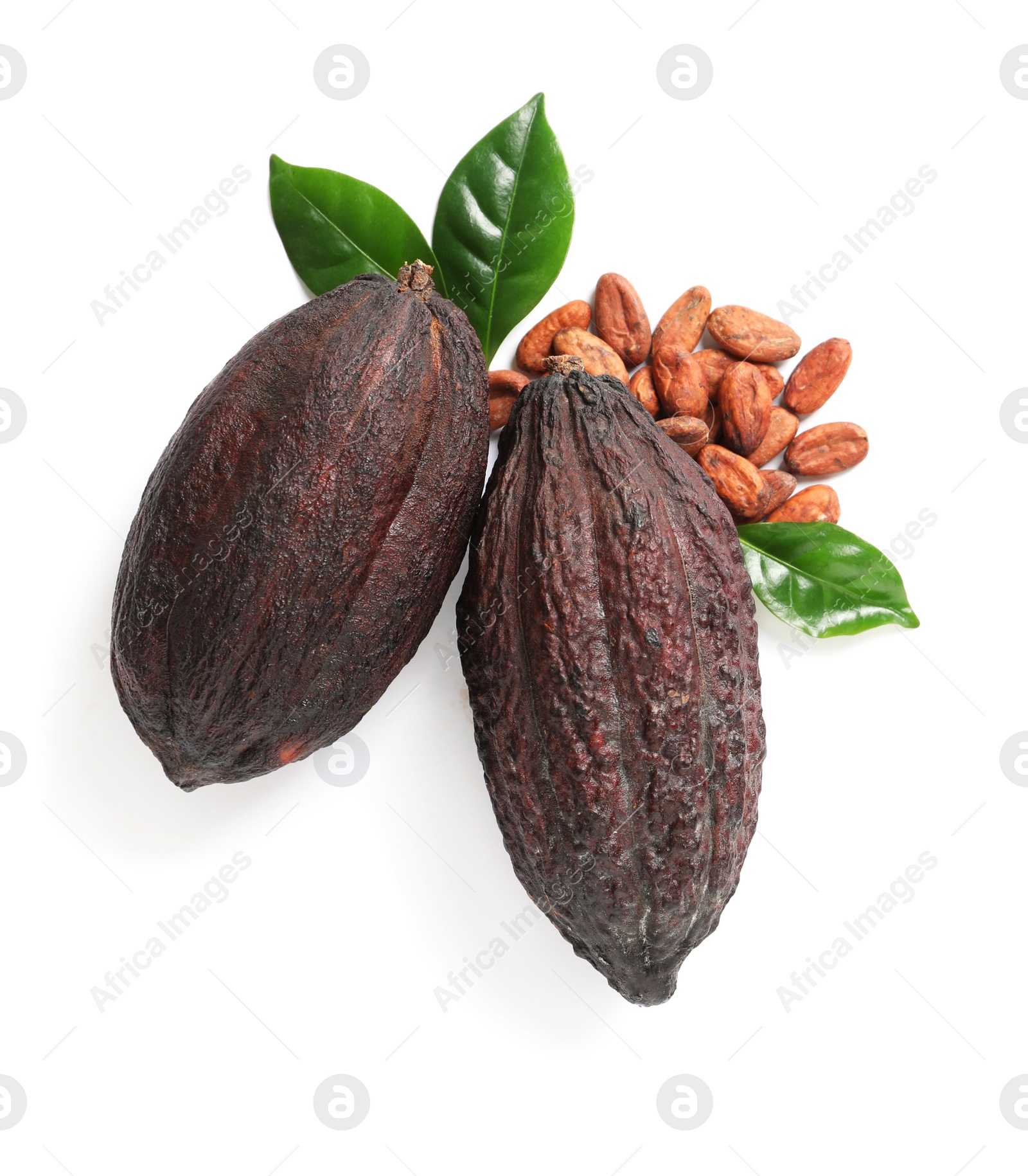 Photo of Composition with cocoa pods on white background, top view