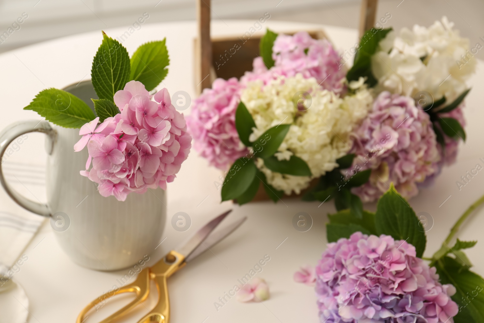 Photo of Beautiful hydrangea flowers and scissors on white table. Interior design element