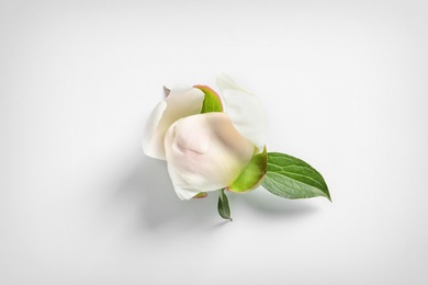 Photo of Beautiful bud of peony flower on white background, top view