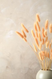 Dried flowers in vase against light grey background