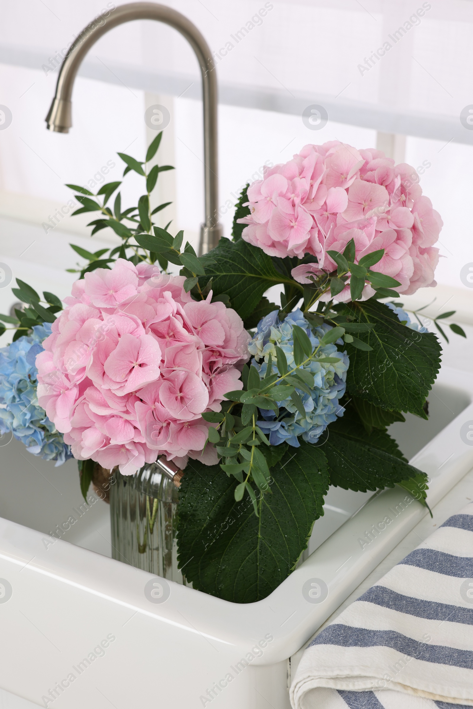 Photo of Vase with beautiful hortensia flowers in kitchen sink