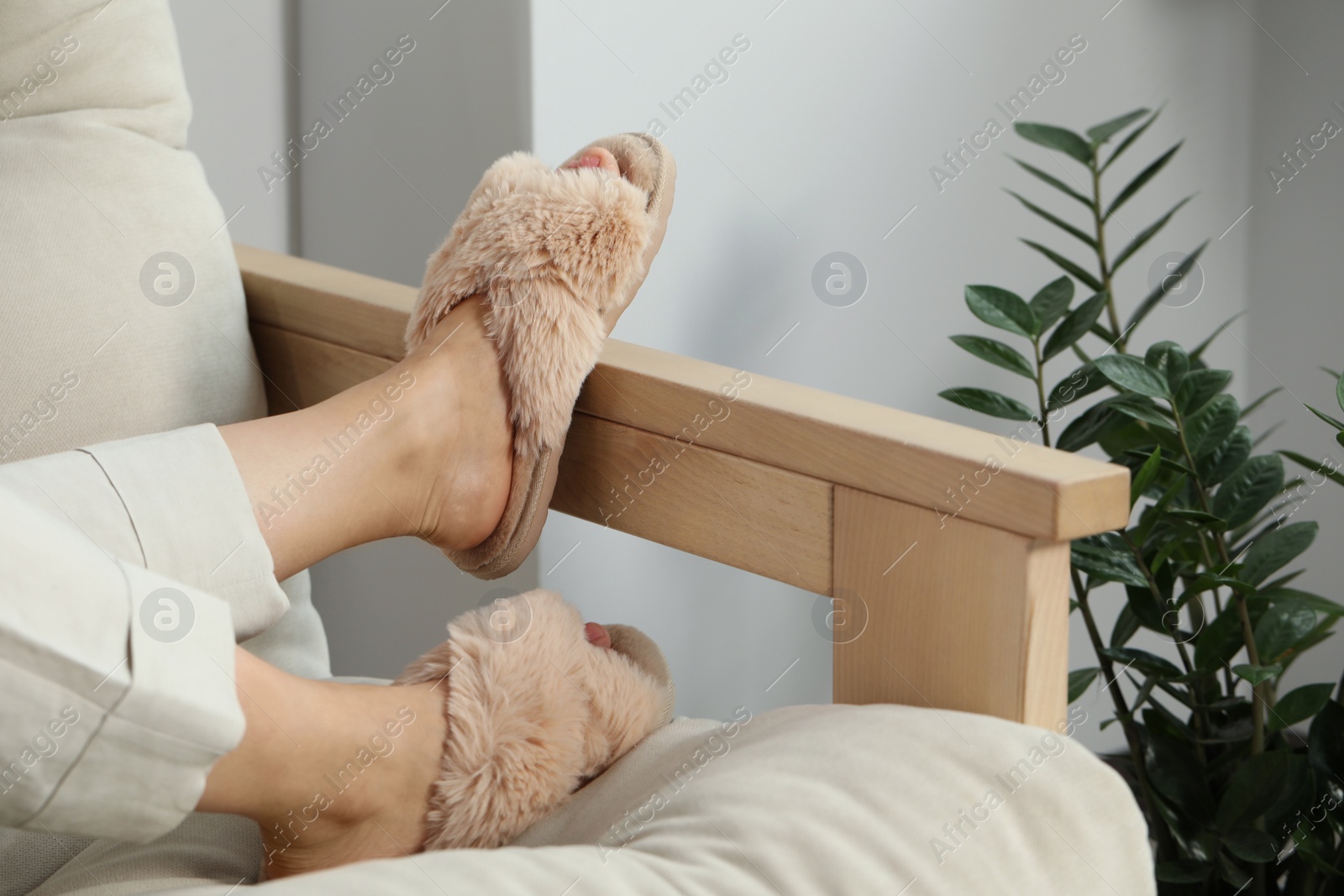 Photo of Woman wearing soft comfortable slippers at home, closeup