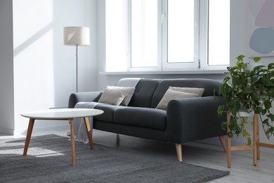 Photo of Stylish living room with gray couch, white coffee table and lamp. Interior design