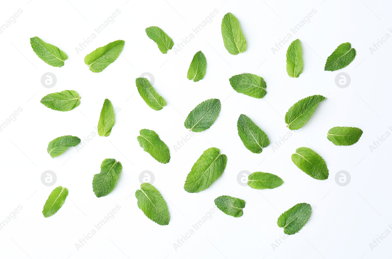 Photo of Flat lay composition with fresh green mint leaves on white background