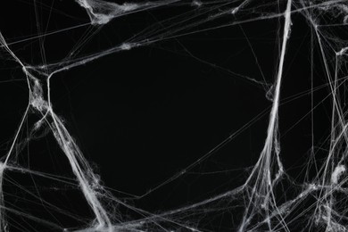 Creepy white cobweb on black background, closeup