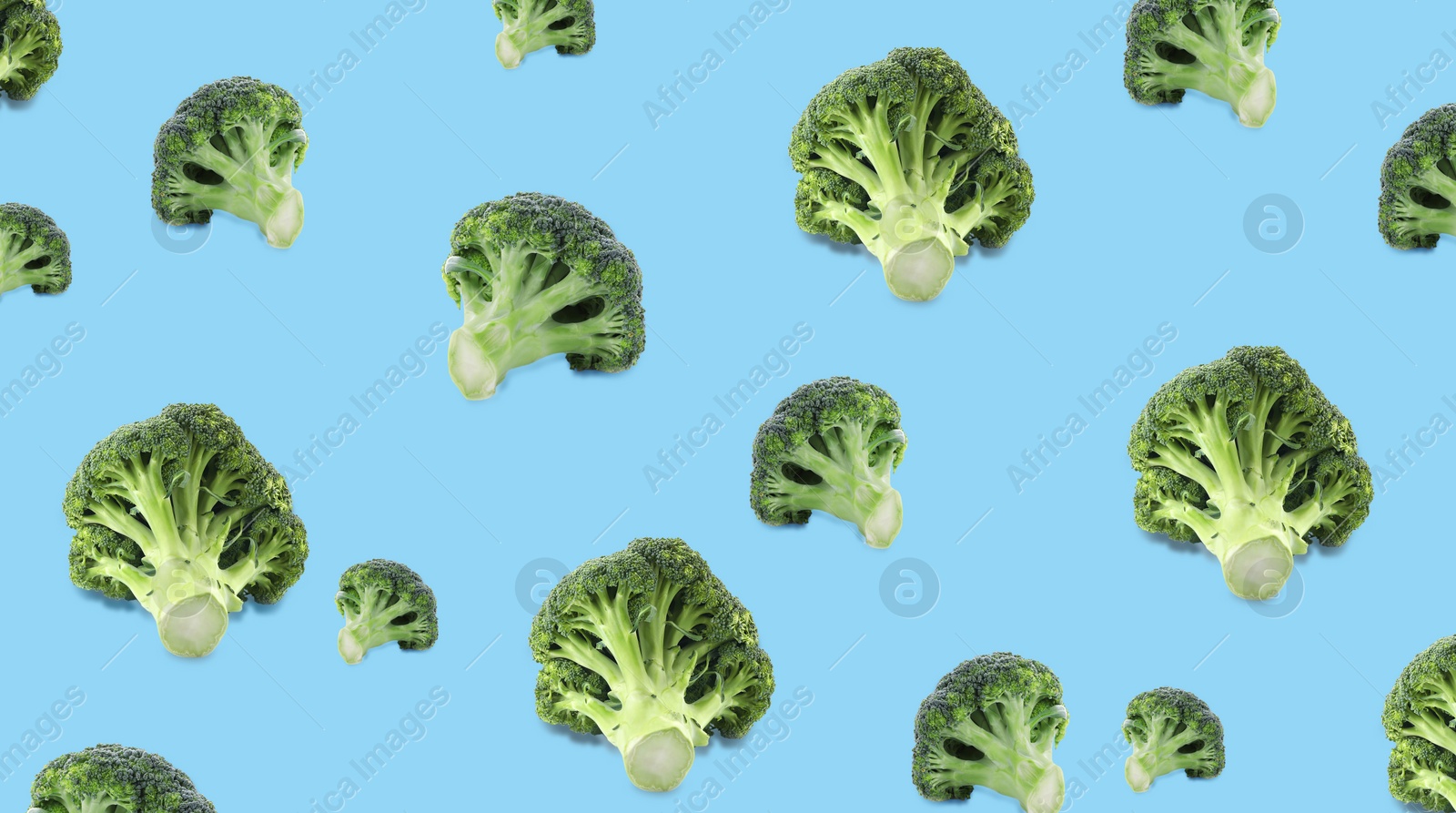 Image of Pattern of fresh green broccoli on light blue background, banner design