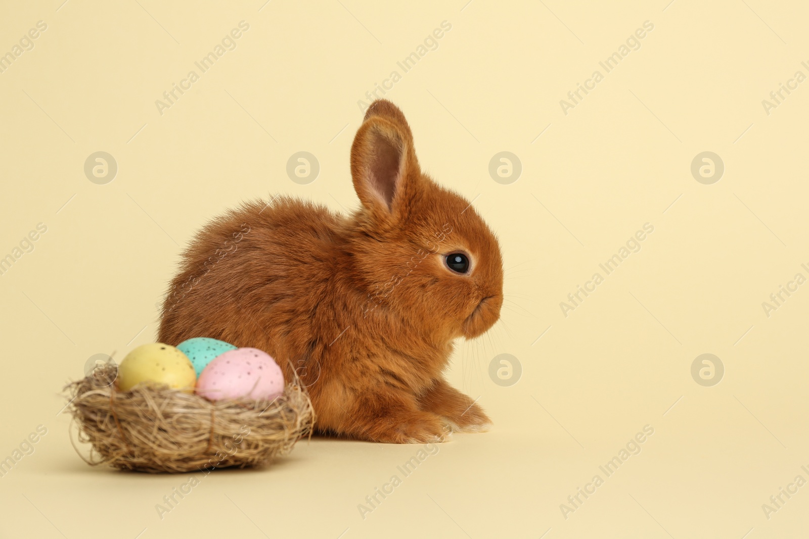 Photo of Adorable fluffy bunny and decorative nest with Easter eggs on yellow background