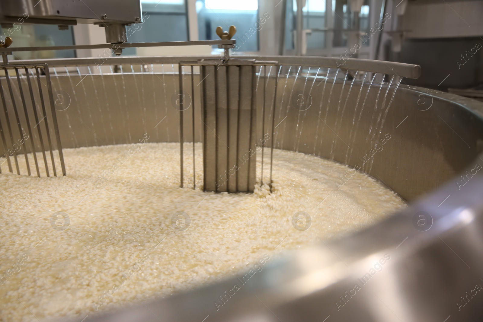 Photo of Adding water to curd and whey in tank at cheese factory