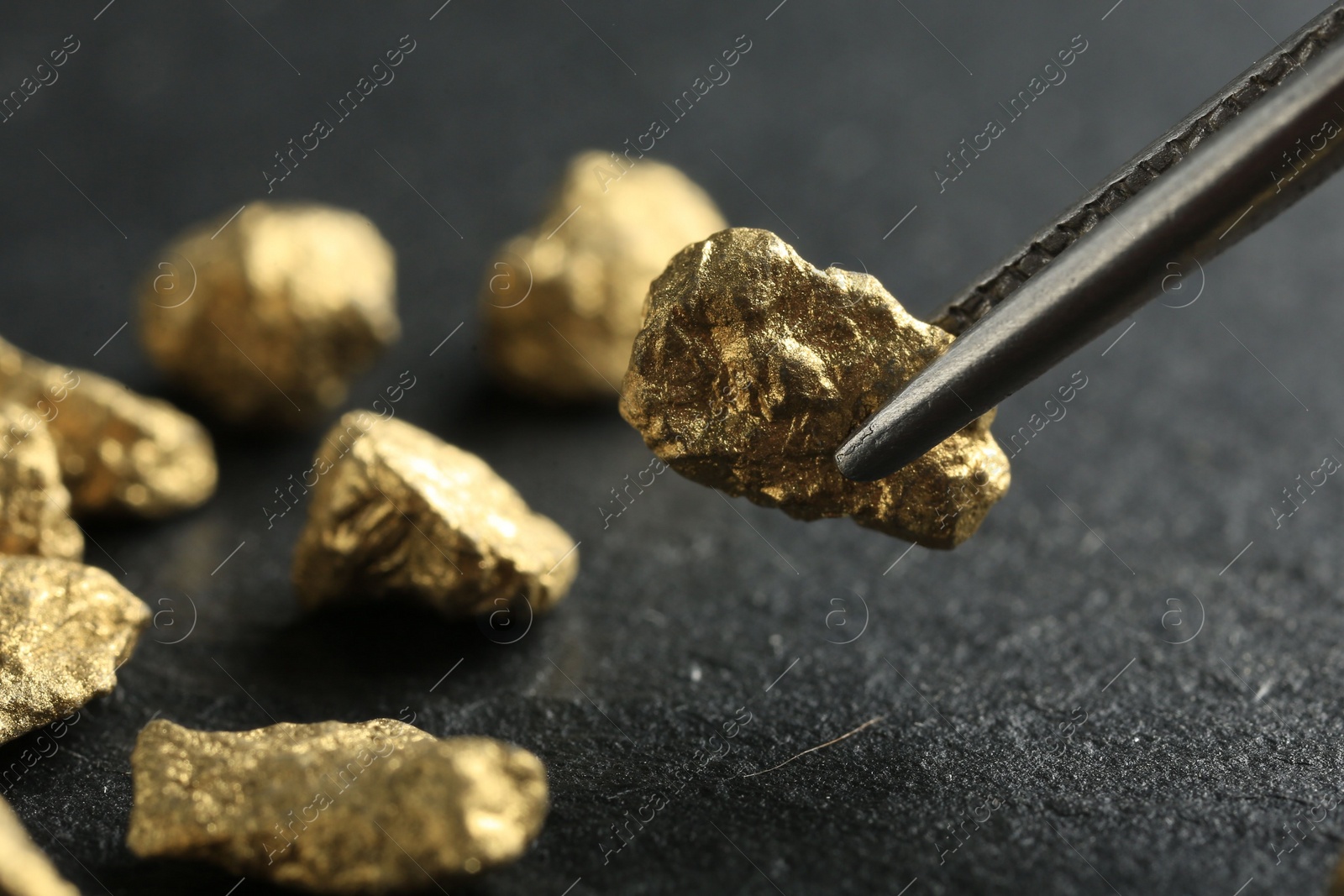 Photo of Tweezer with shiny gold nugget over grey surface, closeup. Space for text