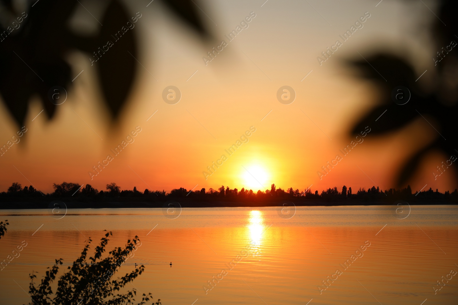 Photo of Picturesque view of tranquil river at sunset