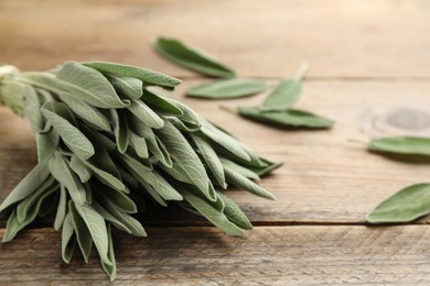 Photo of Bunch of fresh green sage on wooden table, closeup