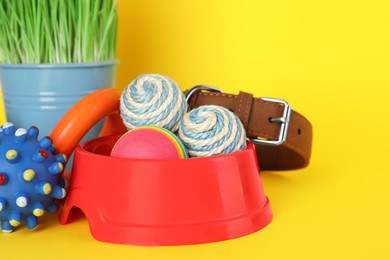Photo of Various pet toys, bowl and wheatgrass on yellow background, closeup