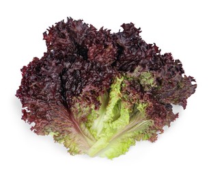 Leaves of fresh red coral lettuce isolated on white, top view