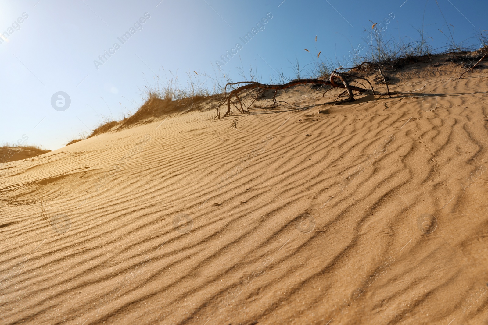 Photo of Picturesque view of desert on sunny day