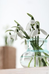 Beautiful snowdrop flowers in glass vase on table
