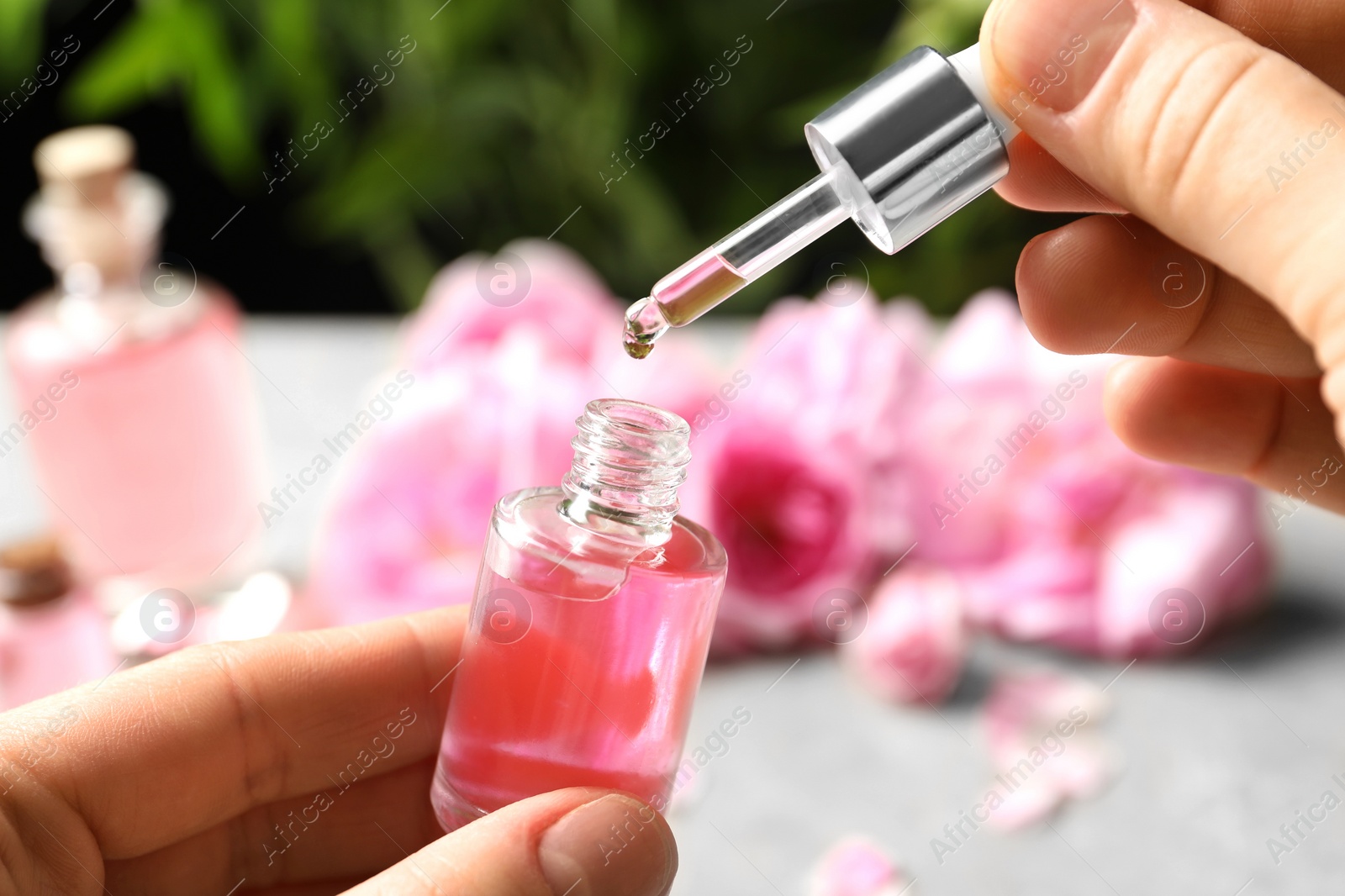 Photo of Woman dripping rose essential oil into bottle over table, closeup