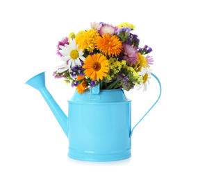 Watering can with beautiful wild flowers on white background