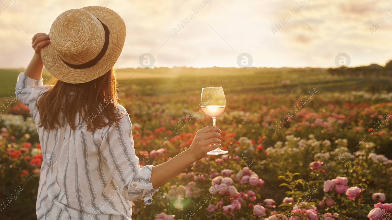 Photo of Woman with glass of wine in rose garden on sunny day. Space for text