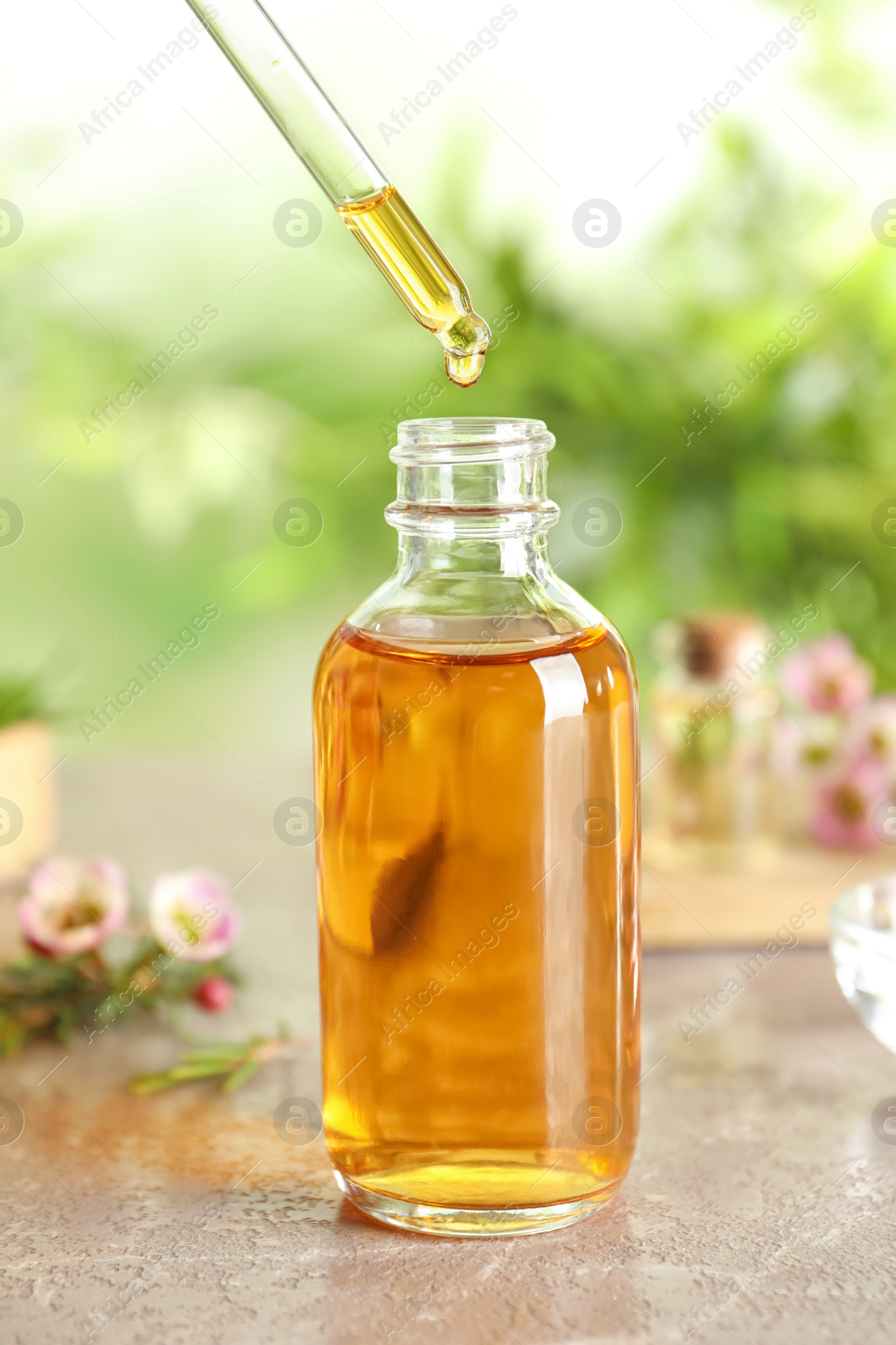 Photo of Dripping natural tea tree essential oil into bottle on table
