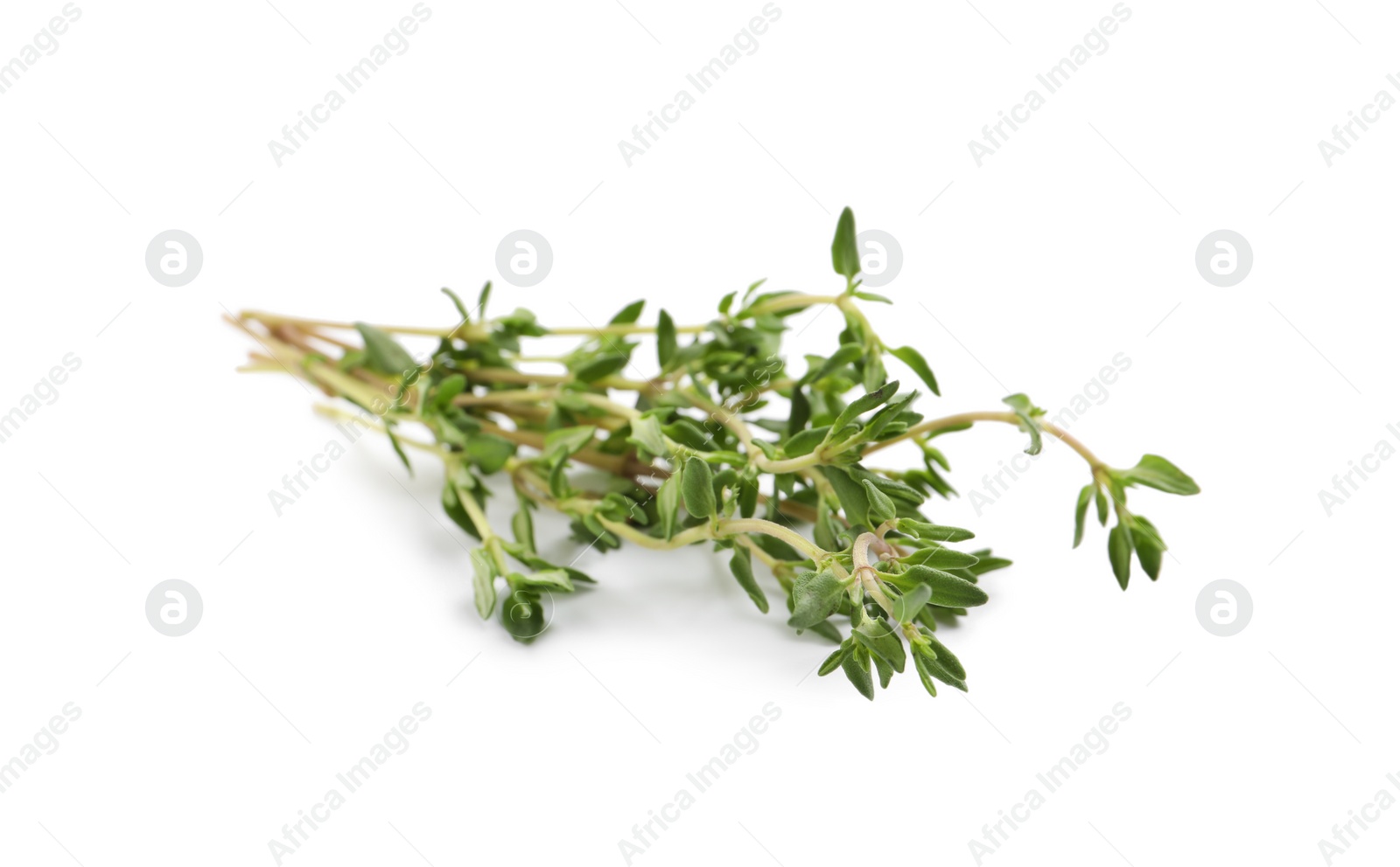 Photo of Bunch of aromatic thyme on white background. Fresh herb