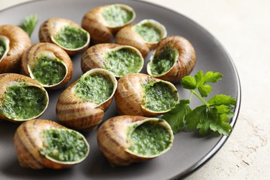 Photo of Delicious cooked snails with parsley on light table, closeup