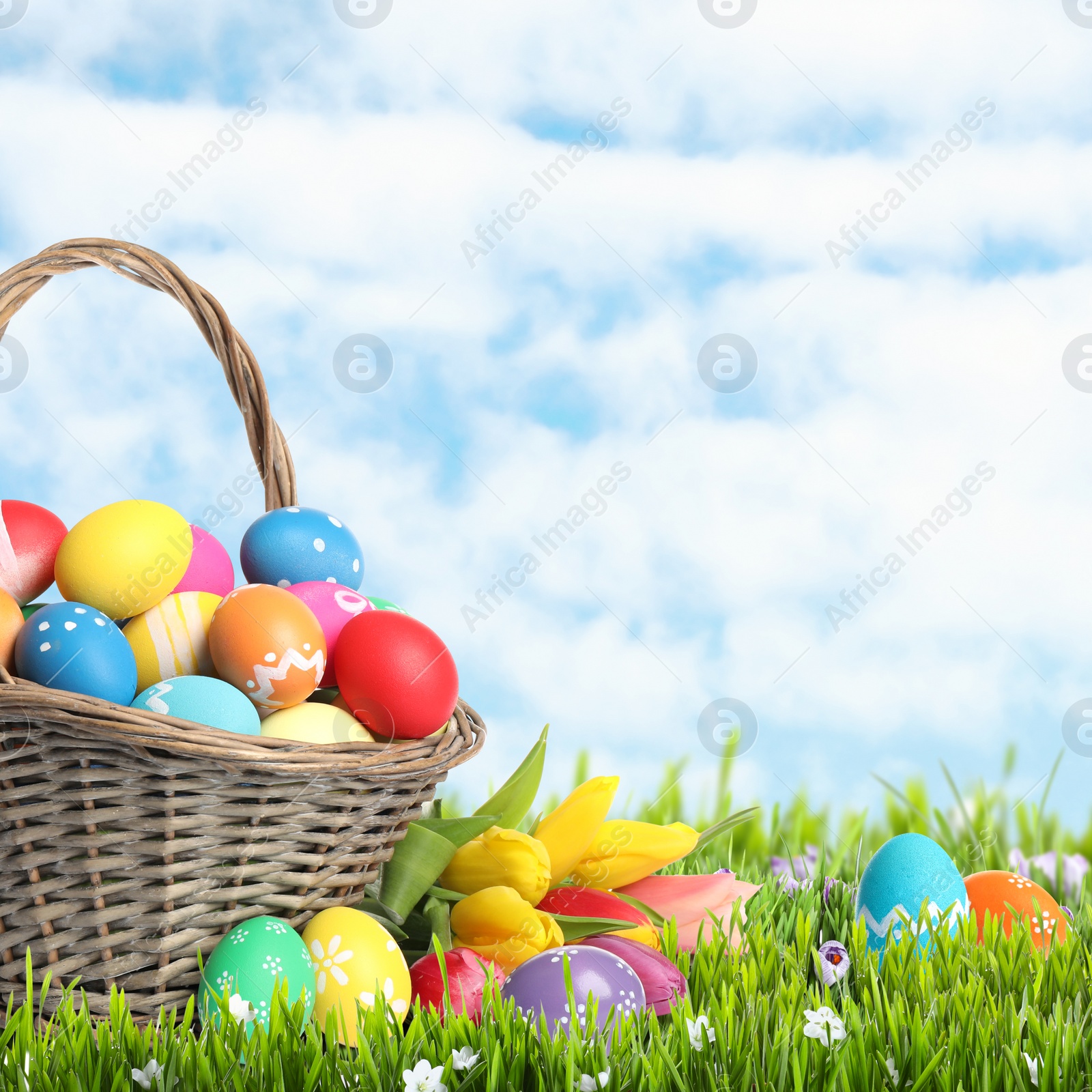 Image of Wicker basket with Easter eggs in green grass against blue sky. Space for text