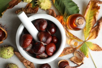 Photo of Flat lay composition with fresh horse chestnuts and tincture on grey table