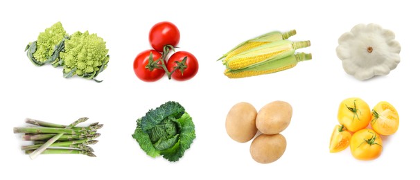 Image of Collage with many fresh vegetables on white background