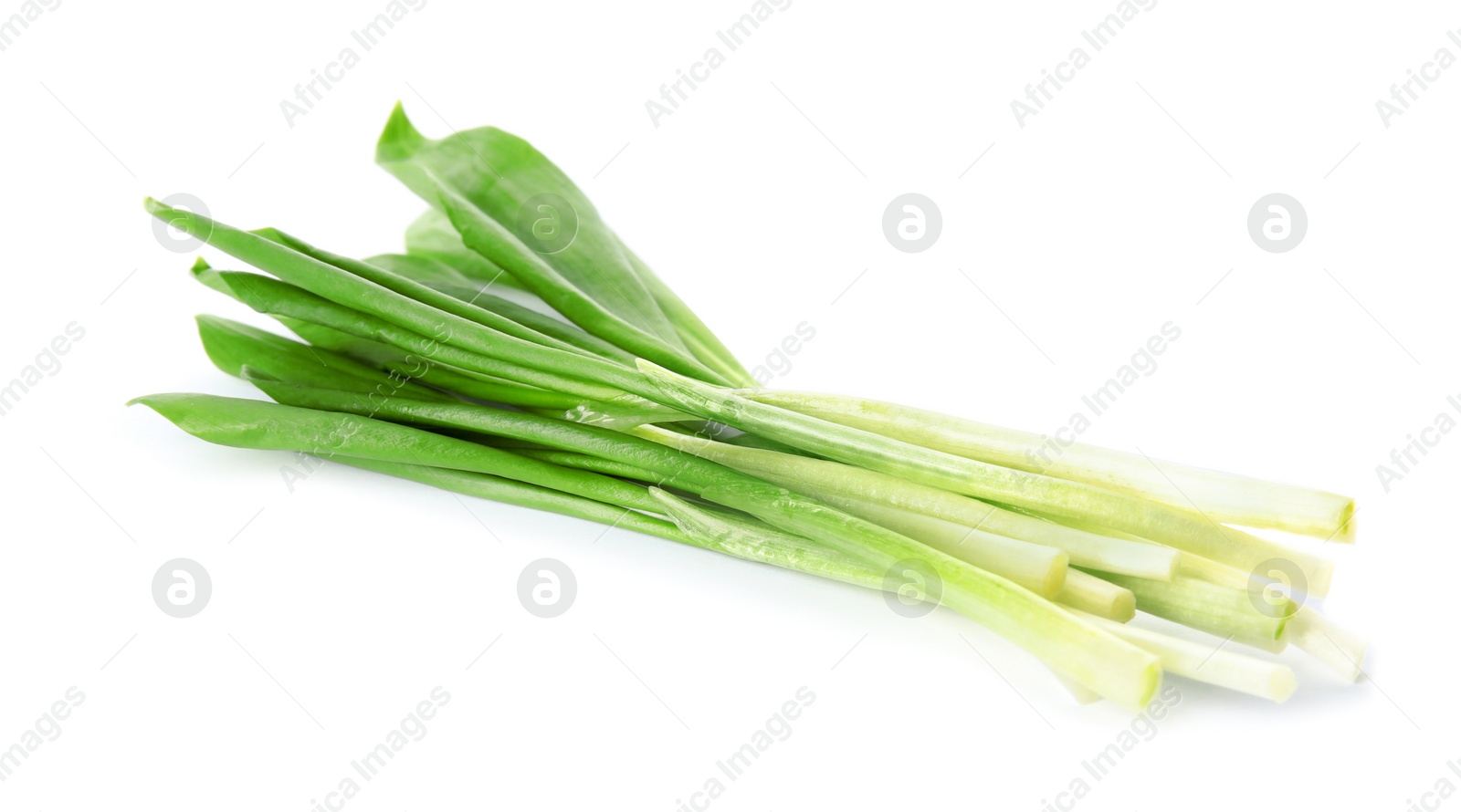 Photo of Fresh wild garlic or ramson isolated on white