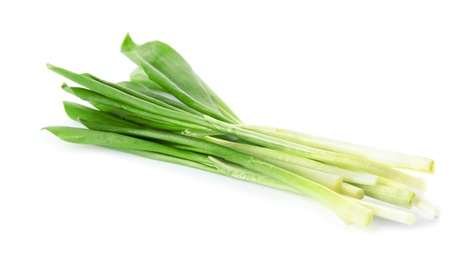 Fresh wild garlic or ramson isolated on white