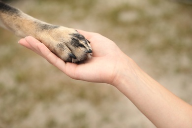 Photo of Woman holding dog's paw on blurred background, closeup. Concept of volunteering