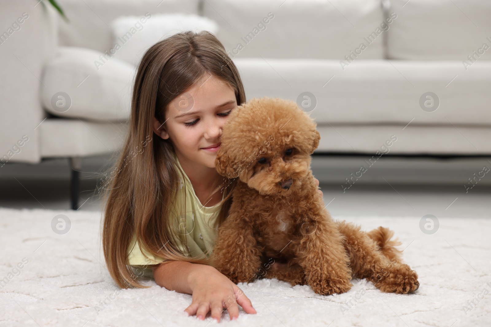 Photo of Little child and cute puppy on carpet at home. Lovely pet