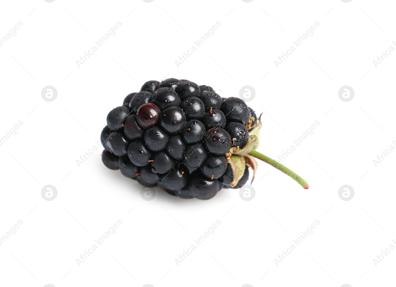 Photo of One tasty ripe blackberry isolated on white