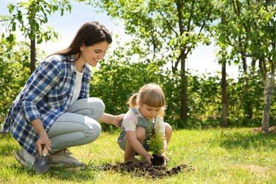 Mother and her daughter planting tree together in garden, space for text