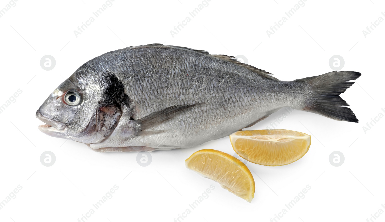 Photo of Raw dorado fish and lemon wedges isolated on white