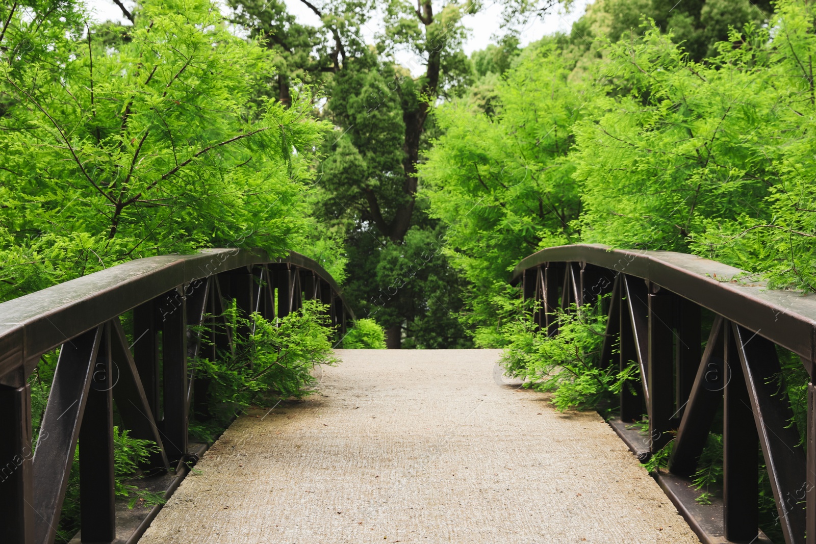 Photo of Picturesque view of bridge in beautiful green park