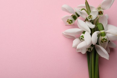 Beautiful snowdrops on pink background, top view. Space for text