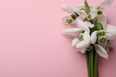 Photo of Beautiful snowdrops on pink background, top view. Space for text