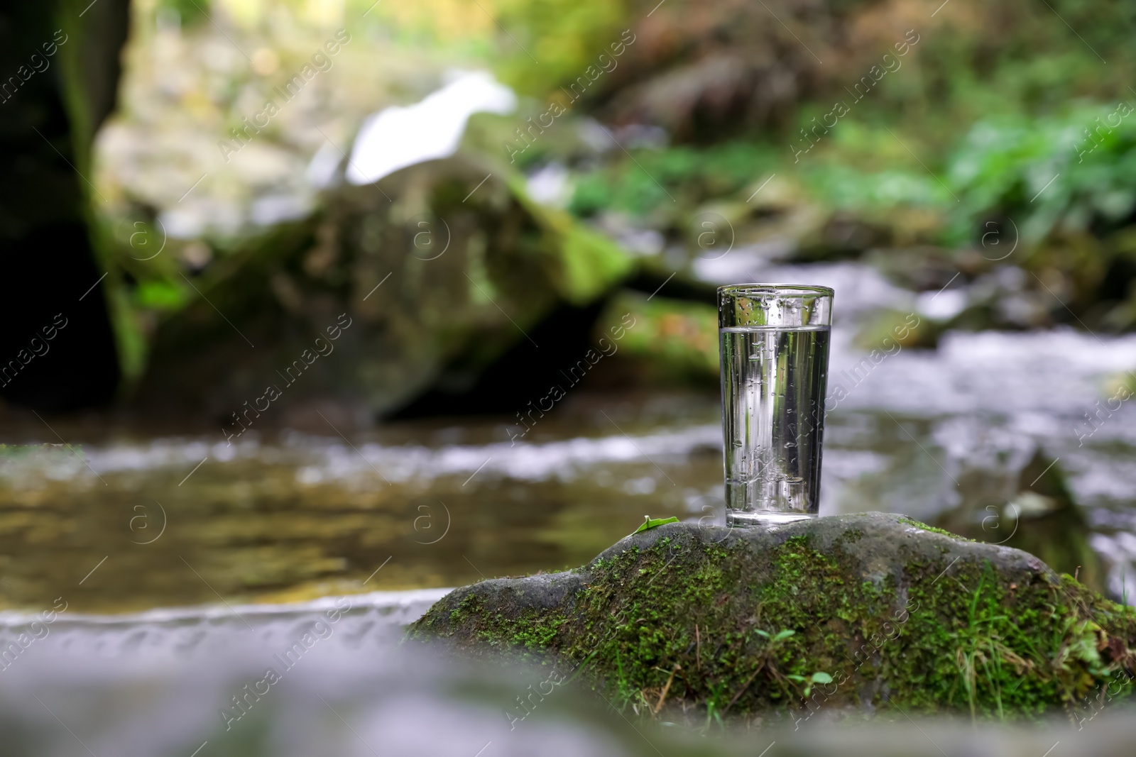 Photo of Glass of fresh water on stone with moss near stream. Space for text