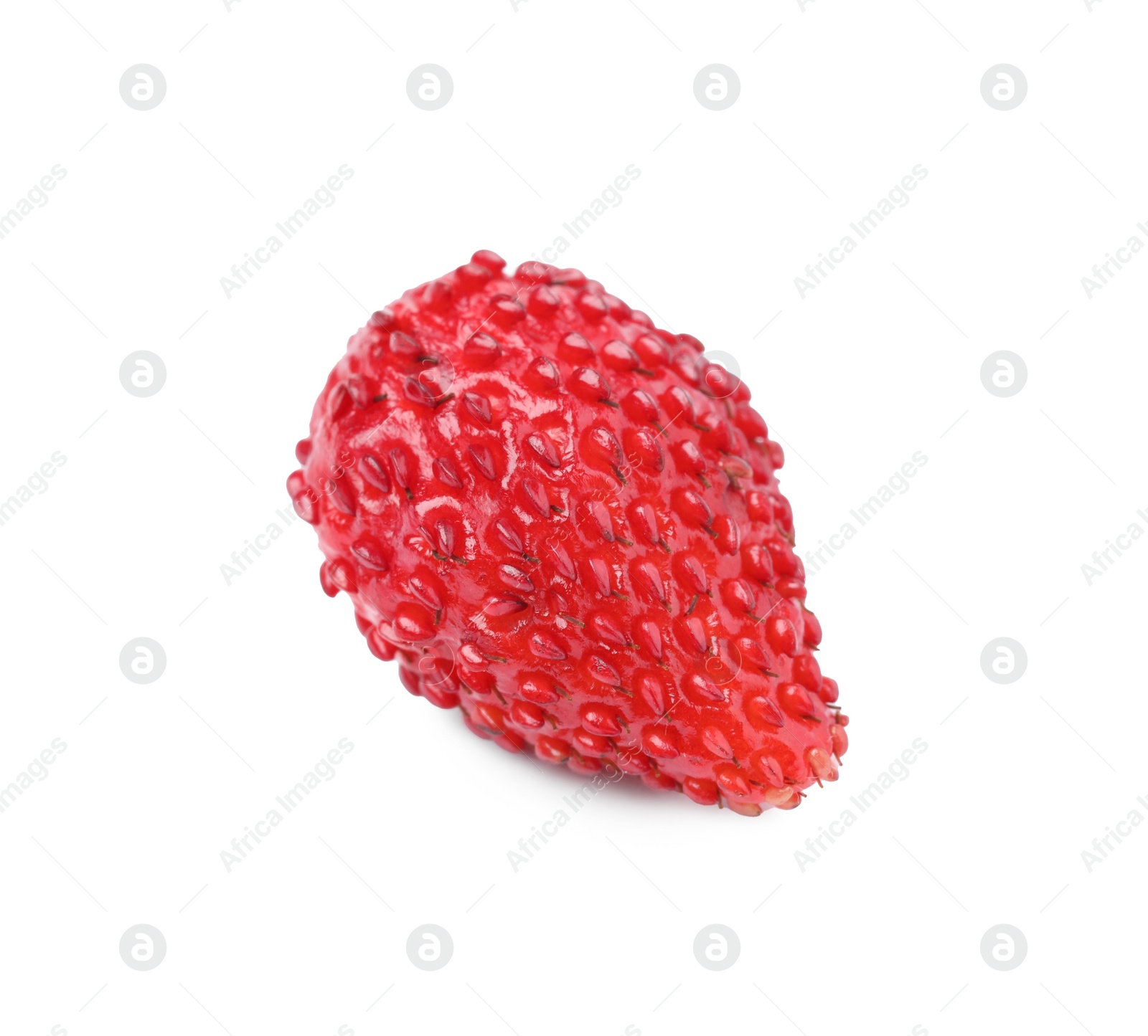 Photo of One ripe wild strawberry isolated on white