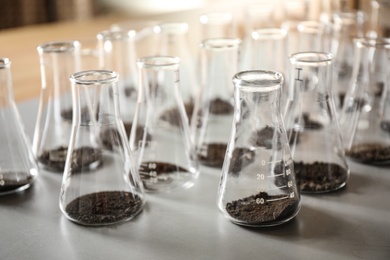 Photo of Glassware with soil samples on grey table. Laboratory research