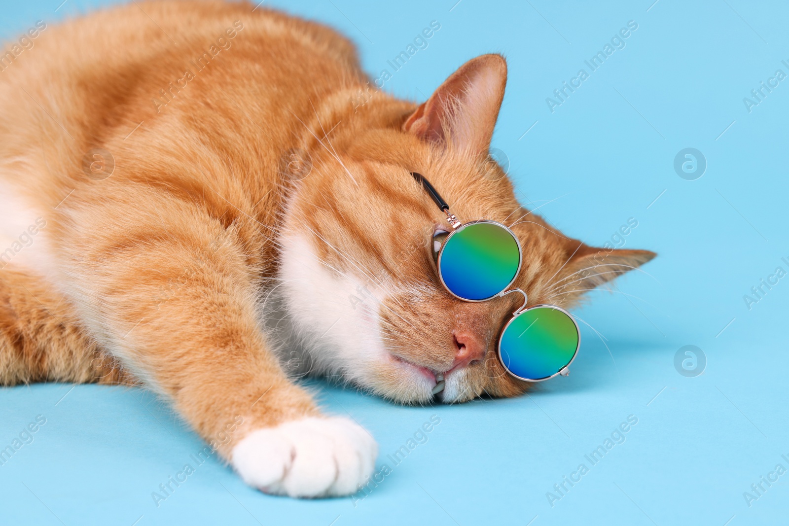 Photo of Cute ginger cat in stylish sunglasses lying on light blue background