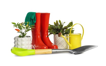 Gardening tools and houseplants on white background