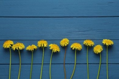 Photo of Beautiful yellow dandelions on blue wooden table, flat lay. Space for text