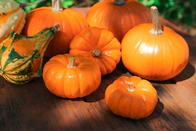 Many different ripe orange pumpkins on wooden table outdoors