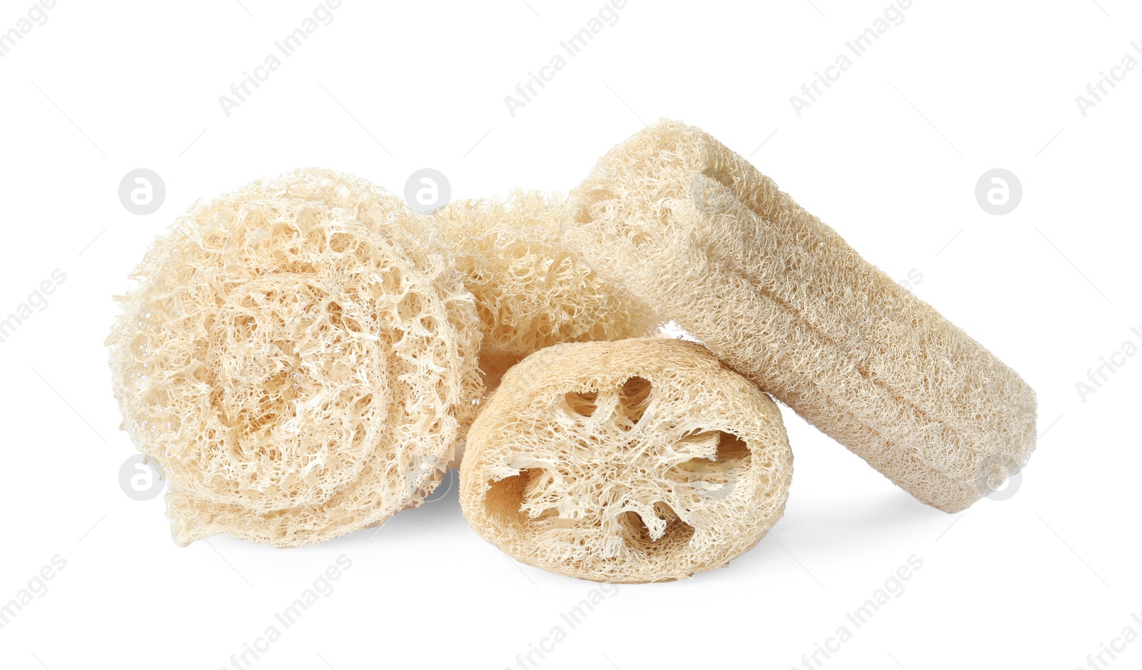 Photo of Natural shower loofah sponges on white background