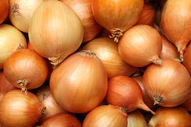 Photo of Fresh whole onions as background, top view